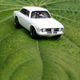 Illustration for article titled Alfa Monday - Quadrifoglio on a folio